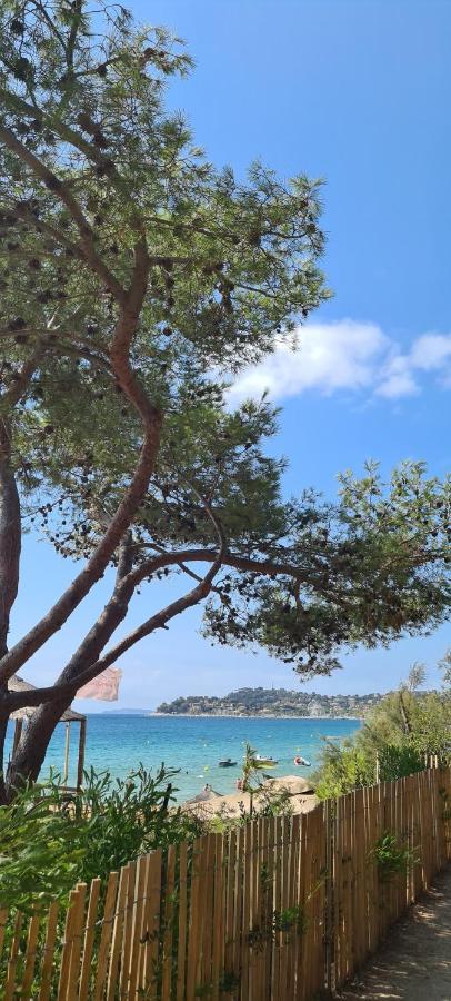 Le Tamaya Plage Charmant T2 En Rez De Jardin A 2 Pas D Une Belle Plage De Toutes Commodites Et Centre Ville Port Cavalaire-sur-Mer Εξωτερικό φωτογραφία